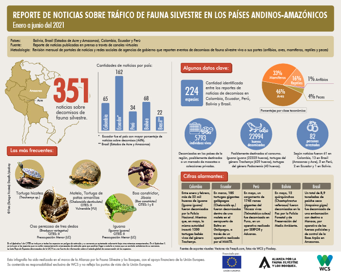 Infografia3_TVSRegional1_2021 Infografia3_TVSRegional1_2021